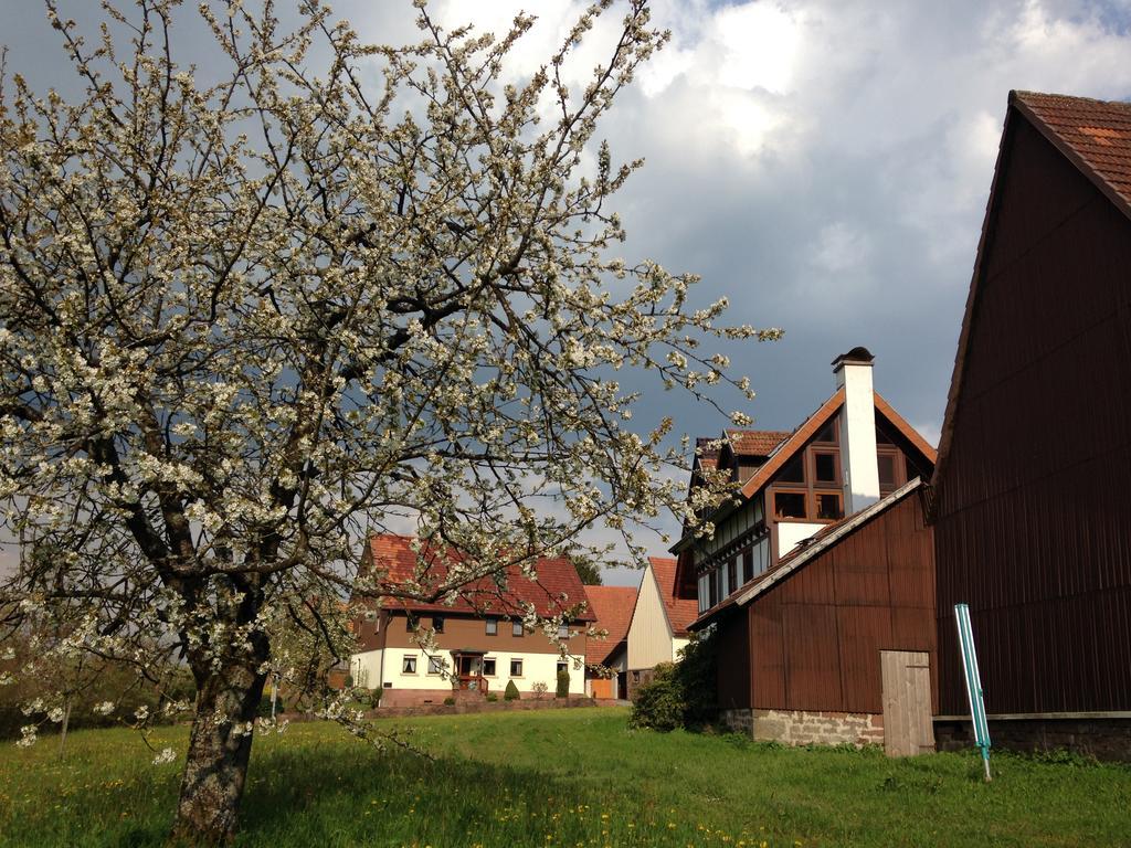 Ferienhaus Annabell Weisbach  Exterior photo