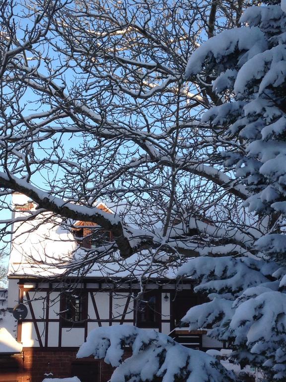Ferienhaus Annabell Weisbach  Exterior photo
